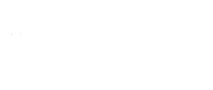 Proginsky-courses